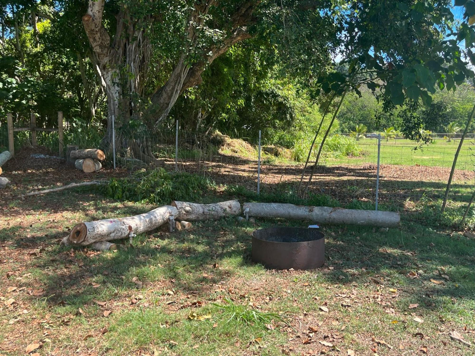 North Shore Glamping Camping Laie, Oahu, Hawaii מראה חיצוני תמונה