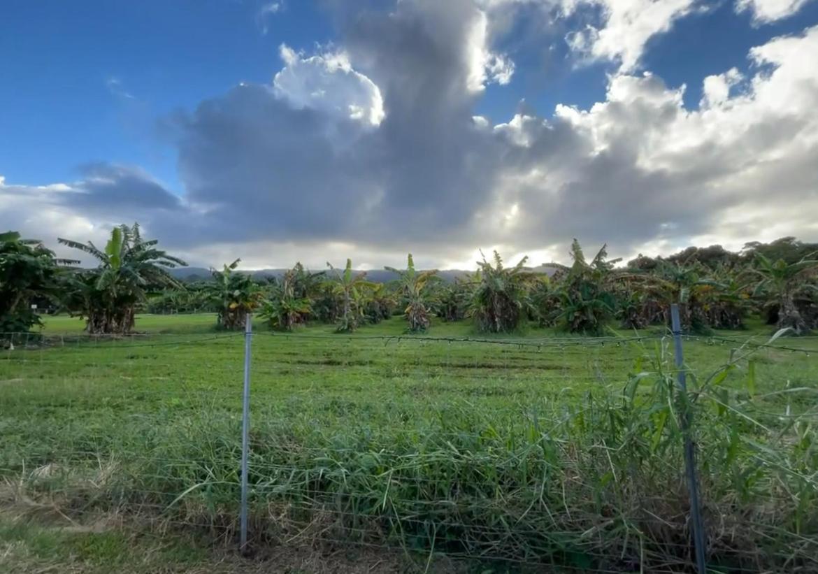 North Shore Glamping Camping Laie, Oahu, Hawaii מראה חיצוני תמונה
